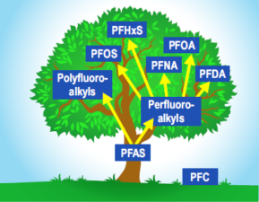 PFASFamilyTree Articolo test